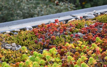 the cost of Underdale green roof installation