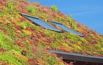 Underdale living roof systems
